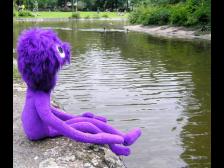 Knut beim Enten schauen im Darmstädter Herrngarten